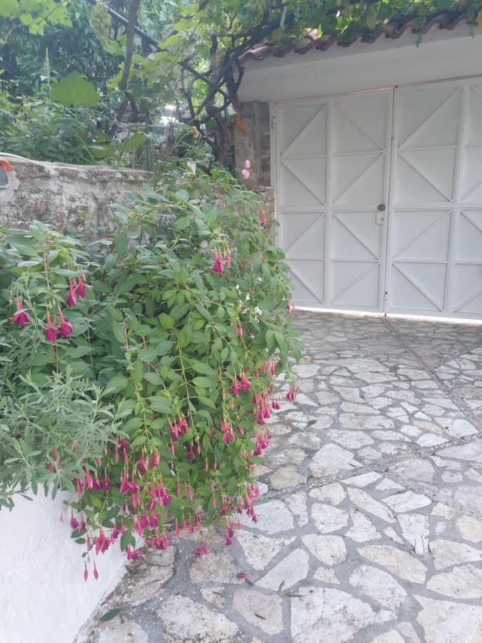 Rosemary House Sarandë